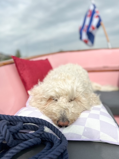 Luuk sloepvaren Sneek